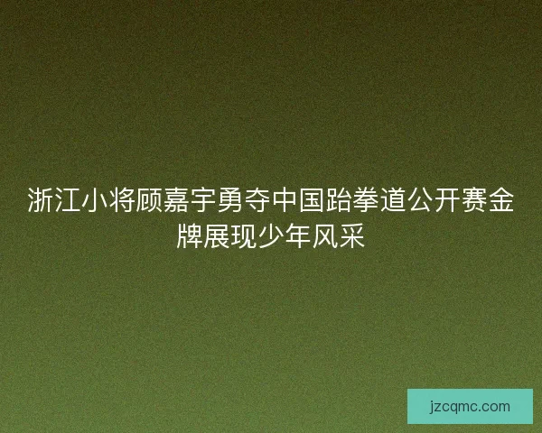 浙江小将顾嘉宇勇夺中国跆拳道公开赛金牌展现少年风采